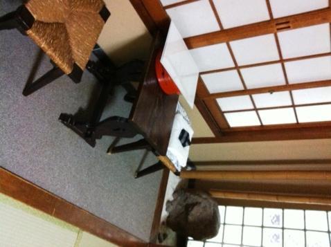Ryokan Kyoka 교토 외부 사진